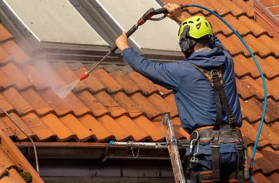 Démoussage et hydrofuge de toiture à Lespouey
